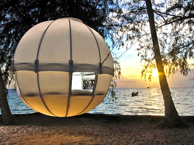 Cocoon Tree 01