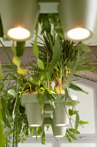 roderick-vos-bucketlight-plant-fixture-designboom03