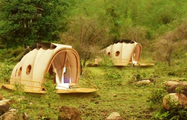 tent-looper-tub01.jpg