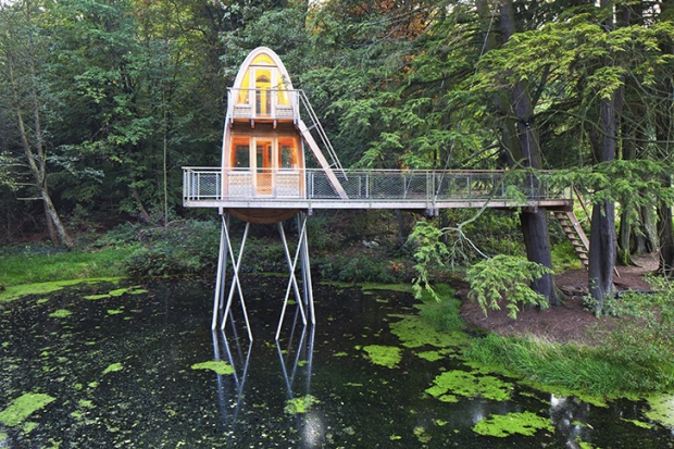 Baumraum-Solling-Treehouse-1