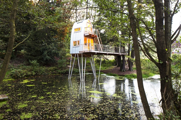 Baumraum-Solling-Treehouse-3