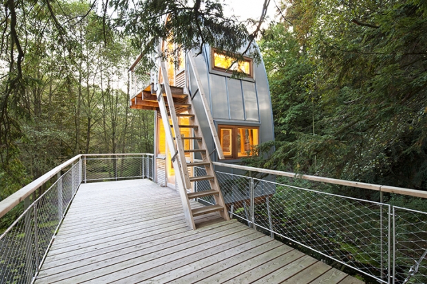 Baumraum-Solling-Treehouse-4