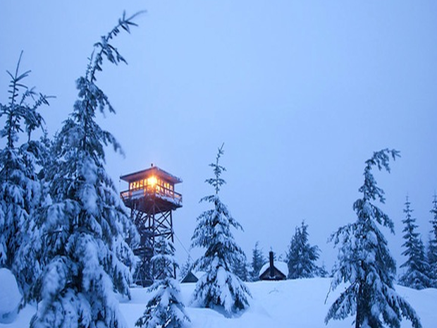 snow4
