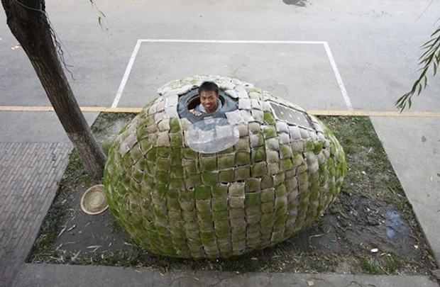 20101201-egg-house-091
