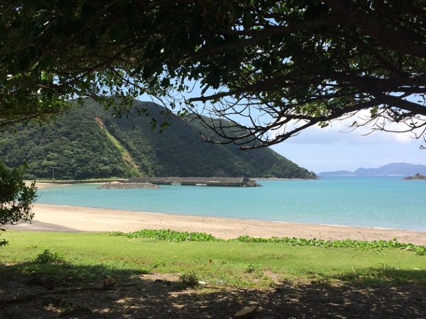 現在、私が住んでいる場所の最寄の海、諸鈍長浜。