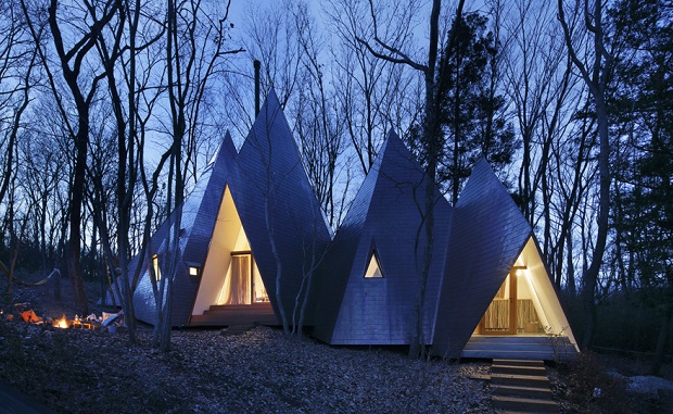 woodland14