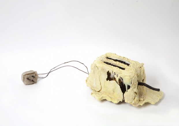 Toaster_Project1-PhotoCredit-Daniel_Alexanderx630