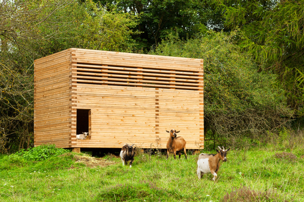 domus-01-wooden-cube
