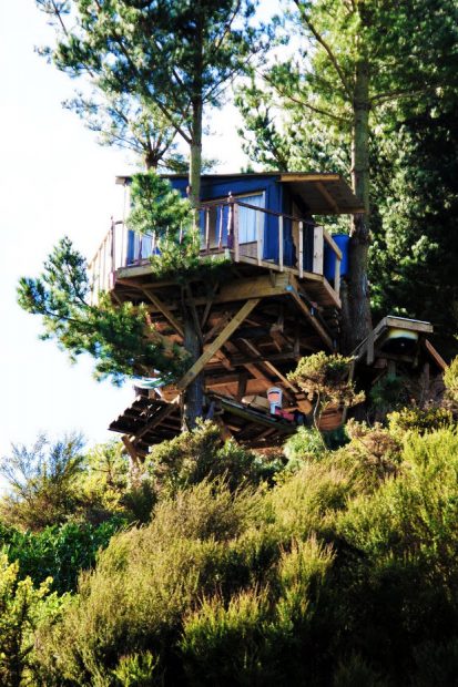 tree-bach-in-NZ-tub03