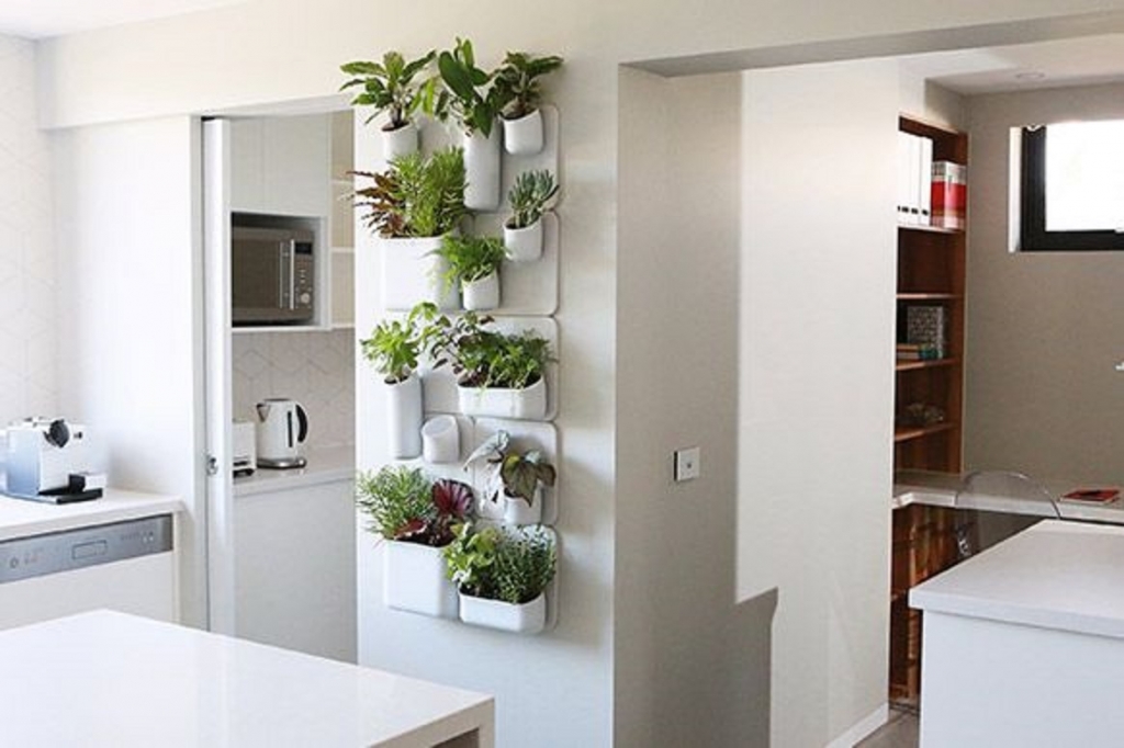 via: Home.ninemsn.com