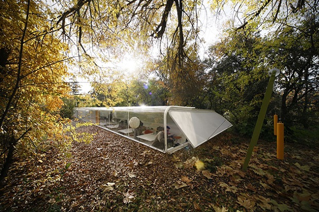 Officie-in-the-Woods04_h