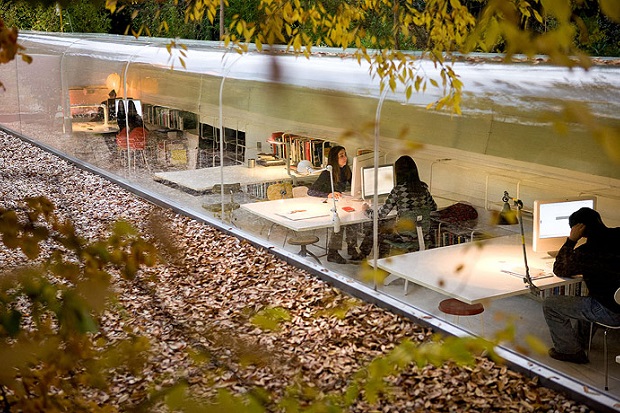 Officie-in-the-Woods06