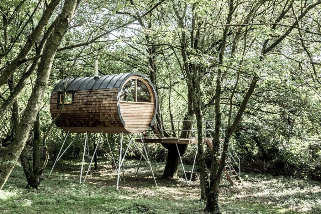 eco cabin back