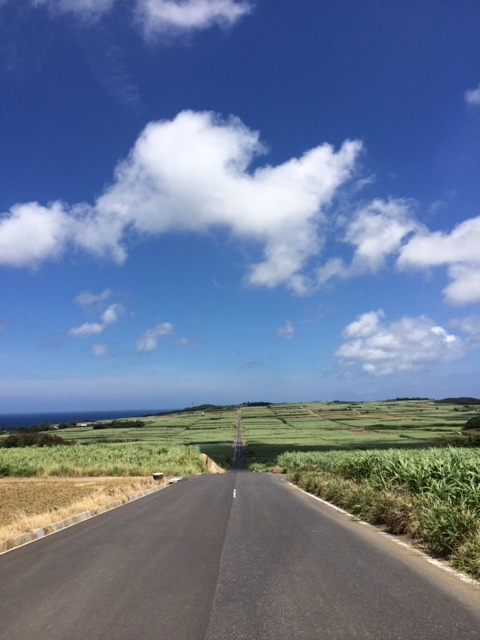 こちらは喜界島の景勝地、さとうきび畑の中の一本道。島から海と空が一望できる場所です。