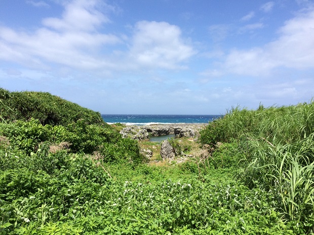 喜界島の秘密のビーチに続く道。島在住の方と出会えたからこそ教えてもらえた場所でした。
