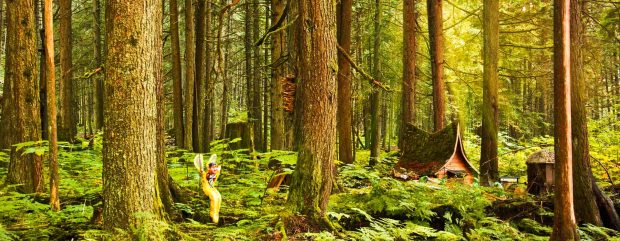 header-slide-forest-web-low2
