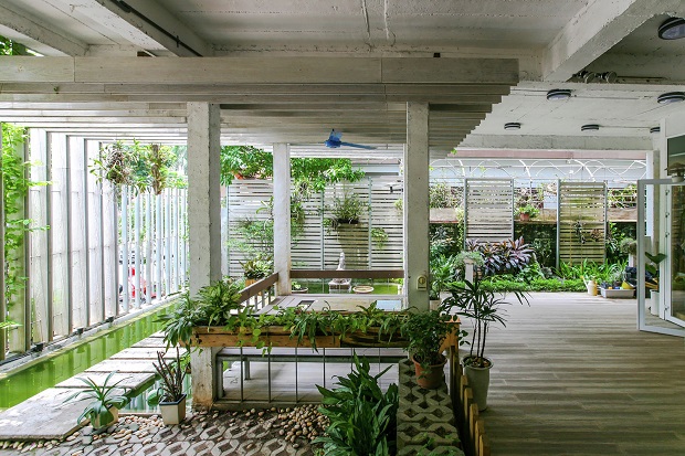 Growing_green_office01