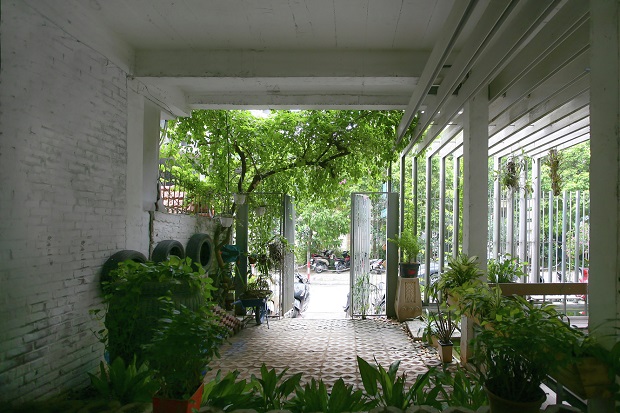 Growing_green_office05