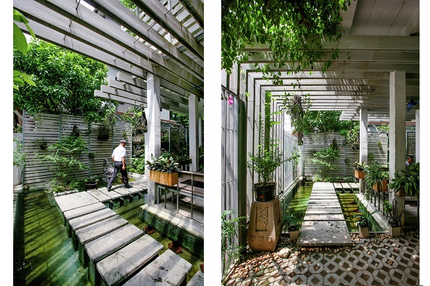 Growing_green_office06