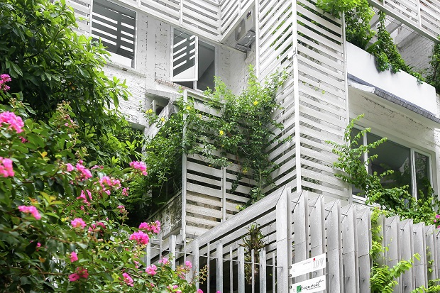 Growing_green_office19
