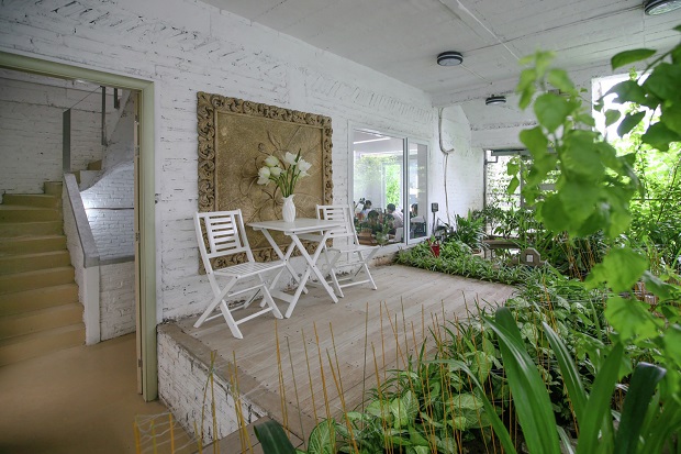 Growing_green_office22