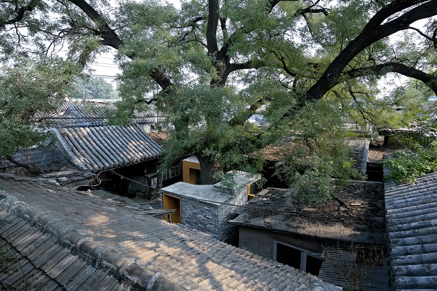 Su_Shengliang_16
