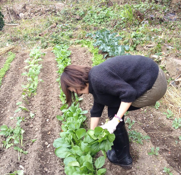 長靴を借りて島男子の家でランチ用の野菜の収穫を。裏山を自分で開墾して畑を作ったという凄腕の彼は、料理も得意でランチをご馳走になりました。
