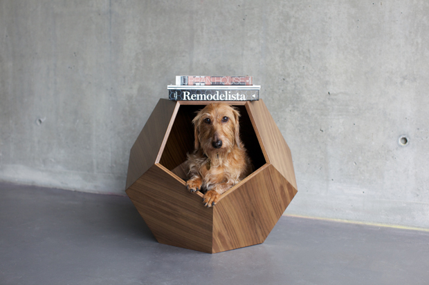 Via:dog-milk.com