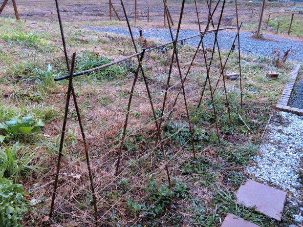震災時の教訓から、土を得て野菜を作り、食についても自給自足を目指す