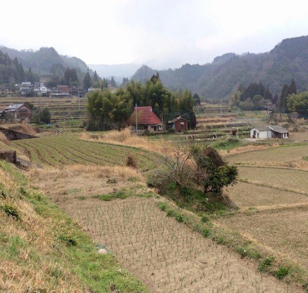 三原さん夫妻が住む集落の景色です。晴れていれば山の向こうに由布岳がどーんと見えます。