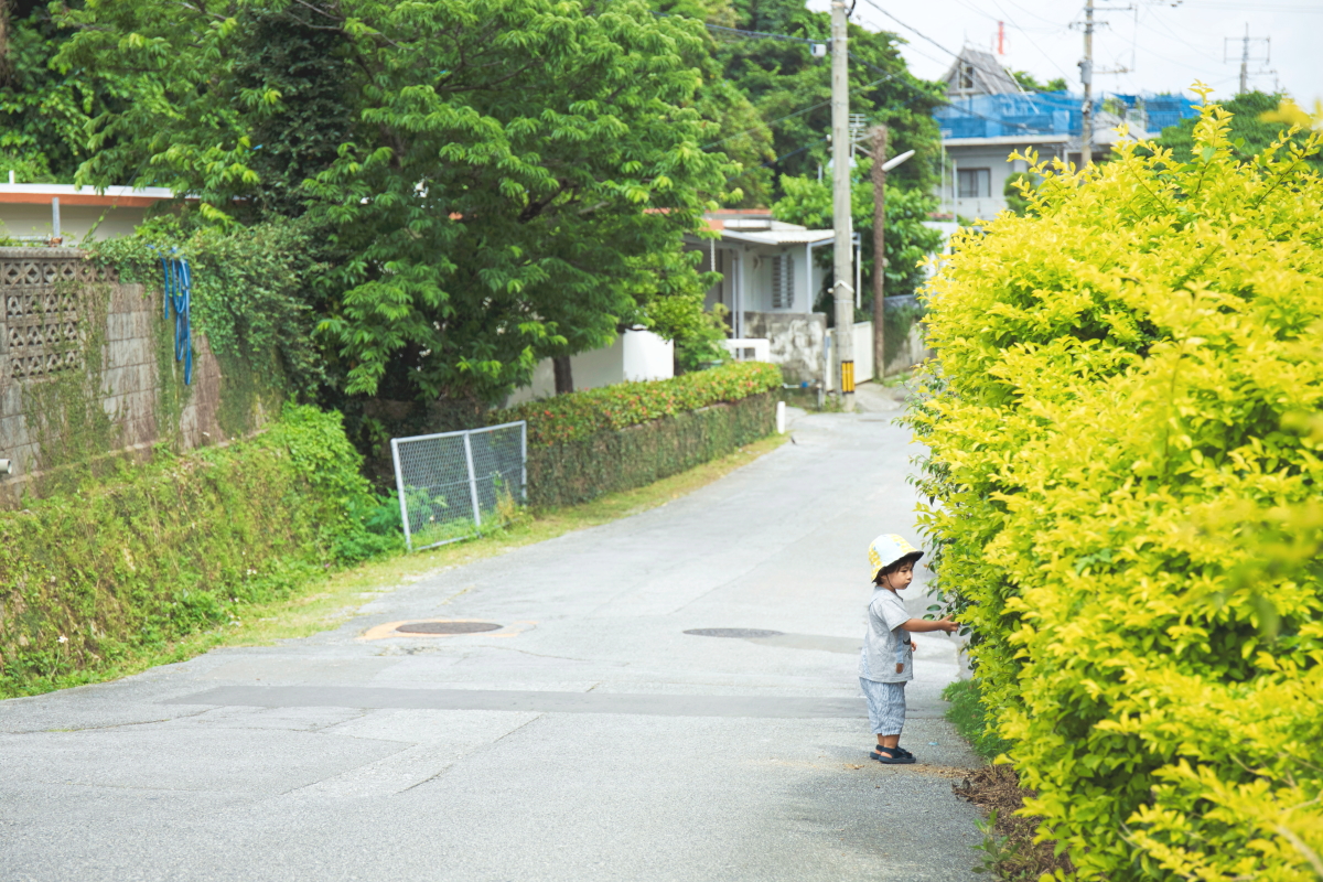 沖縄に移住したセソコさんの現在のご自宅の周辺