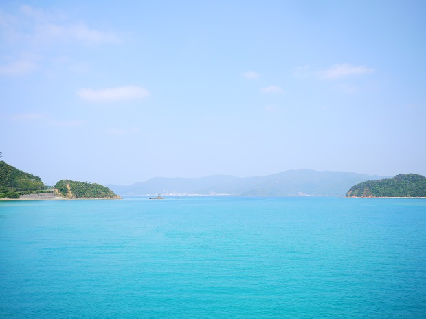 船で20分ほどの向かいの島、奄美大島に向かう時の景色。