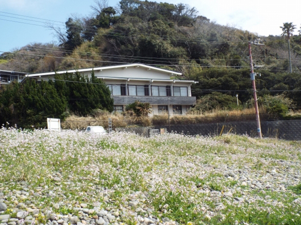 iso-asobi-tub08
