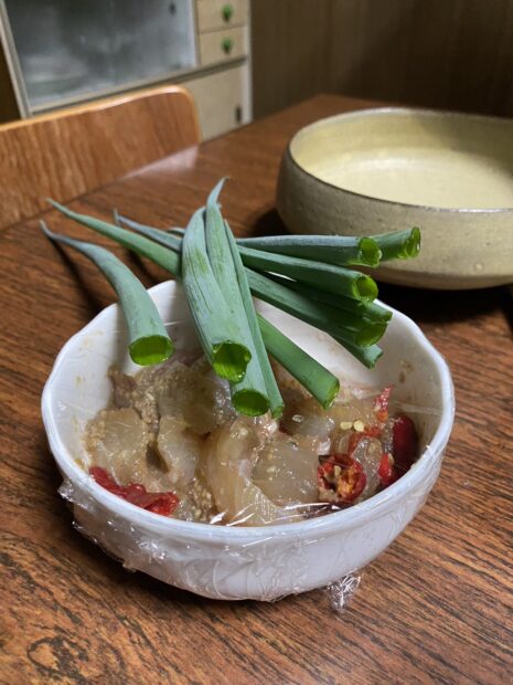 収穫野菜(ねぎ)